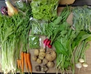 通年自然栽培の野菜を販売している農家が教えます 子育て自然栽培農家が土を見ながら自然栽培の悩みを解決 イメージ1