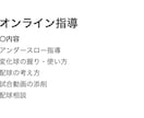 独立リーグ最多勝アンダースロー投手が個別指導します アンダー、サイドスロー専門｜試合で使える変化球・配球を形に イメージ3