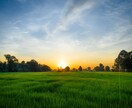心身の不調・潜在意識をエネルギー調整＆浄化します ★疲れやすい方、生きづらい方★不安、思考、対人関係をリセット イメージ4