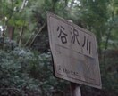 写真を撮ります 一眼カメラにてお写真をお撮りします。 イメージ4