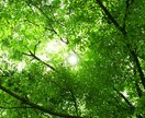 スターシードオラクルカード★３枚引きします ★地球になじめない方へ　メッセージをお届けします★ イメージ8