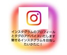 プロフィール&タグアドバイスいたします 魅せるインスタグラムを目指したいかたに！アドバイス付！ イメージ1