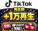 TikTokの再生数を＋1万回増加させます オプションでいいね、セーブ、シェア、コメントなどカスタム可能 イメージ1