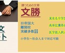 出願書類･小論文等の確認添削します 医学部志願理由、小論文他学校で教えてくれない事をお手伝い！ イメージ1