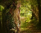 高位精霊との霊視で、二人の魂を愛ある未来へ導きます 【先の光が見えず不安な方へ】未来は変えれる。※初回限定価格 イメージ9