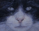主に猫を油絵で写実的に描きます 愛猫がずっと貴方と共にあります。 イメージ3
