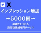X(ツイッター)のインプレッション増加させます 安心！安全な格安サービス！インプレッション5000～増加！ イメージ1