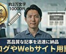 SEO用記事 約3万字 を丁寧に執筆します 先着10名限定の特別価格でご提供 10000円 イメージ1