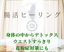 腸内クレンズ・腸活ヒーリングします 腸から健康に美しく♡健康・美容・お腹の調子が気になる方に イメージ1