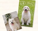 手書きトリセツ風うちの子名刺作ります スマホ写真OK！印刷代込100枚セミオーダーのペット名刺 イメージ1
