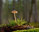 お二人の現状や問題を紐解き、片思いを成就に導きます 【その恋、諦めかけていませんか？】愛ある結末へあなたを導く。 イメージ4