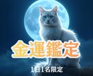 お金の流れを【タロット×月光霊視】で鑑定します お金のお悩みを卒業し、金運について占います。 イメージ1