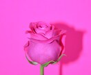 狂ったように溺愛される縁結び♡エネルギー調整します 超強力エネルギー調整・好きな人と結ばれたい・困難愛に悩む方へ イメージ1