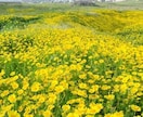 霊視でお気持ち、近未来を深掘りします 顕在意識、潜在意識、願望、本音をお伝えしますね イメージ1