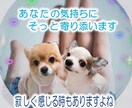介護職の知りたい事、介護職経験者がお教えします 介護職って…？不安や相談、アドバイスもします(*´ω｀) イメージ5
