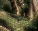 離人症の誰にも理解してもらえない気持ち受け止めます ひとりで不安や恐怖を抱え込まずにご相談くださいね イメージ5