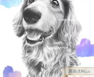 ハイクオリティなペット似顔絵を、鉛筆で手描きします ♪精密描写＊記念プレゼント＊インテリアアート＊アイコンなどに イメージ1