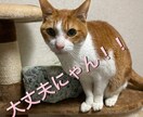 超画期的❗️人物なし写真鑑定、貴方について読取ます 生年月日不要、人物なし貴方の世界観写真から貴方を霊視します イメージ10