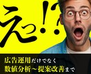 SNSの広告運用だけでなく、改善提案までします 【数値の変化で価値をお届け】売上に繋がる広告運用 イメージ1