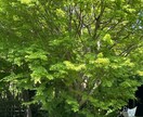 誰に愚痴ろうかな？僕に愚痴って！話し聞きます 女性限定！話にくい内容などここで話して下さい。 イメージ4