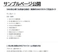 SNS初心者も！実践的収益化完全ガイドお渡しします SNS副業初心者でも収益化を目指せるマネタイズ完全ガイドです イメージ9