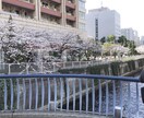 新社会人や一人暮らしおすすめの華金楽しみ方教えます おすすめの家電、料理などなど教えます イメージ1
