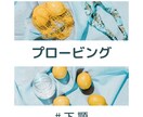 プロービング操作をわかりやすく伝授します プロービング操作が少しでもわかる〜！ イメージ1