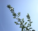 気軽に話し相手になります！ます 日常の悩み・仕事の愚痴・酔った時の話し相手、相手になります！ イメージ3