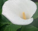 なんでもお話聞きます 誰にも言えないことでも私が聞きます イメージ2