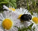 自分の深層心理を簡単なワークで紐解きます 自分の気持ちがわからない何を考えてるのか紐解きたい方へ！ イメージ1