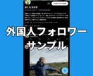Xツイッター外国人フォロワーを1000人増やします 【最安】X(旧ツイッター)の外国人1000人増加ほぼ減少なし イメージ7