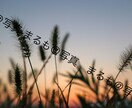1〜3カットまで！広告等で使える写真を提供します 使い勝手の良い写真をお求めの方に！ イメージ7