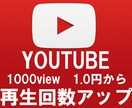 Youtube再生回数を1000から拡散します 追加オプションでさらにプラスへ イメージ1