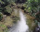 変わりたいとおもっているあなたをサポートします 自分『らしさ』を見つけたいけど"らしさ"がわからない。 イメージ1