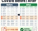 CSV・Excelの月次整理と更新を代行します 毎月の整形・重複除去・集計を定型化して納品 イメージ3
