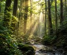 神の御告げ｜人生の全苦悩を解く総合人生鑑定をします 天啓を降ろし、恋愛・金運・仕事・未来の全迷いの解決に導きます イメージ9