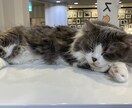 新社会人さんの仕事の悩み聞きます その仕事、辞める前に話してみませんか？ イメージ1