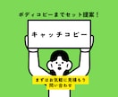 キャッチコピー15案+ボディコピーを3案提案します キャッチコピーだけでなく、ボディコピーも欲しい方へ イメージ1