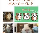 あなたの家族（ペット）をレトロなキャラ風に描きます 商用利用OK！なんだか懐かしい作風でレトロにキャラクター化！ イメージ5