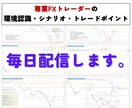 FX相場分析・トレードポイントを毎日配信します 環境認識、エントリー、決済　正しいトレード感覚を知って下さい イメージ1
