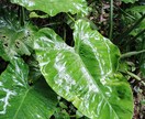 変わりたいとおもっているあなたをサポートします 自分『らしさ』を見つけたいけど"らしさ"がわからない。 イメージ2