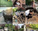 バズる「冒頭3秒」「飽きない構成」を徹底指導します 14万フォロワー現役クリエイターが、プロ視点で動画を改善。 イメージ1