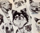 シックでかっこいいペット似顔絵描きます モノクロでうちの子をかっこよく描きます イメージ1