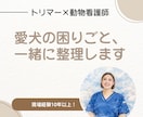 トリマー×動物看護師/愛犬の健康の悩みを整理します 犬の困りごとを一緒に整理します｜甘噛み・ごはん・老犬ケア イメージ1