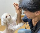心理カウンセリング、コーチング活かしお話をききます カフェバー、人材派遣、語学教室、経営塾出会いからの学び活かす イメージ1