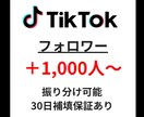 TikTokフォロワー＋1,000人～ 増やします ✅保証付き/安心安全！/振り分け有り！ イメージ1