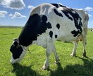 生産者目線で皆様の疑問にお答えします 毎日食べる体験をしている皆さまの食卓が豊かになりますに。 イメージ2