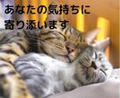 話したい方、話して欲しい方、どなたにも寄り添います 雑談、愚痴、なんでも話し相手・聴き相手になります イメージ1