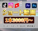 SNS用ショート動画を編集します 格安！3000円でショート動画を編集します！！ イメージ1
