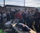 魚屋のスキル活かしたいと思います 何か御役にたてないでしょうか？ イメージ2